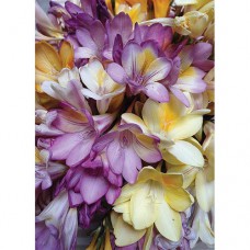 INSPIRAZIONS GREETING CARD Flowers in Bloom